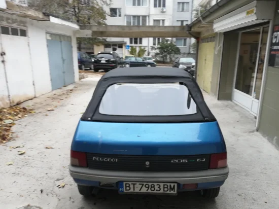 205 гюрук